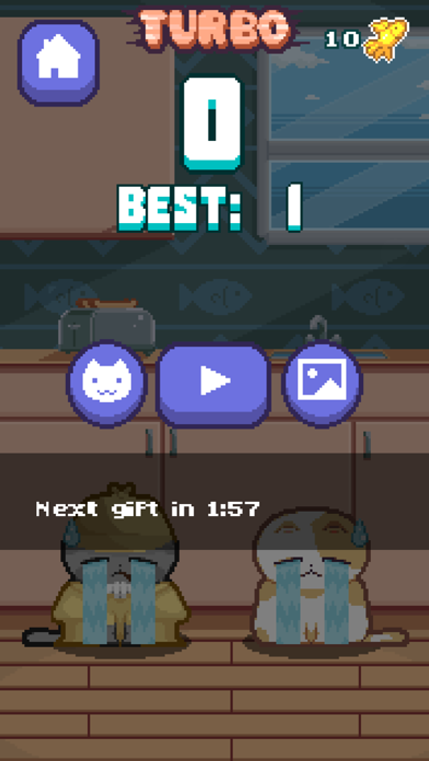 Grumpy Cat Game Challenge screenshot 3