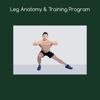 Leg anatomy and training program