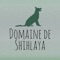 L'application "Domaine de Shihlaya" vous offre la possibilité de consulter toutes les infos utiles de la pension pour chien (Tarifs, services, avis…) mais aussi de recevoir leurs dernières News ou Flyers sous forme de notifications Push