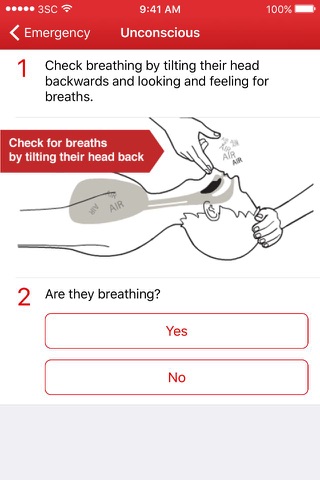 First Aid by Belize Red Cross screenshot 3