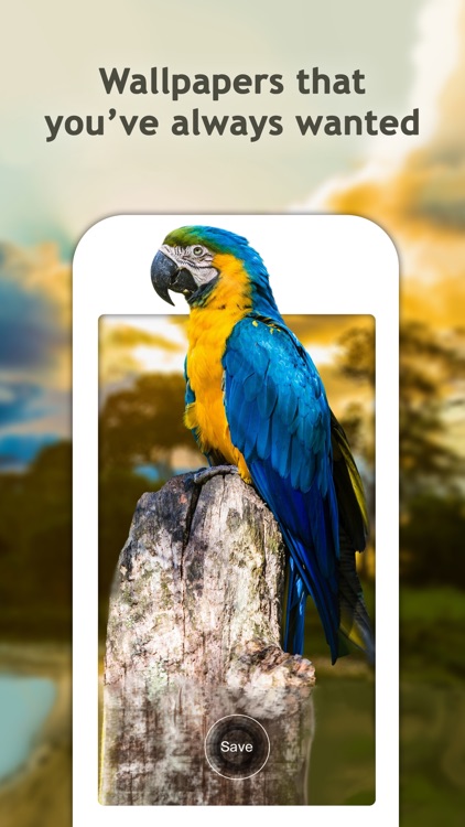 Dynamic Wallpapers for Lock Screen – Free Themes