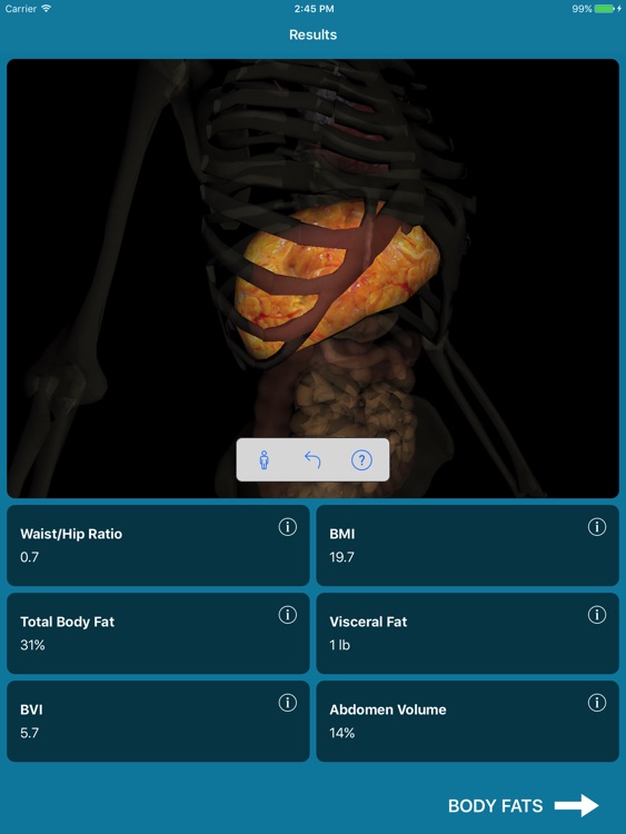 BVI Pro - 3D Body Volume & Fat Measurement Tool