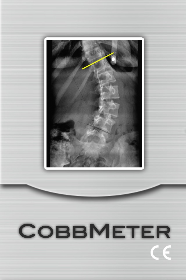 CobbMeter CE screenshot 2