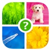 Icon Word Game ~ Free Photo Quiz with Pics and Words