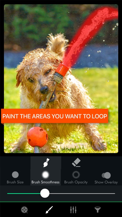 Loop.er Video.s Photo Animator screenshot-0