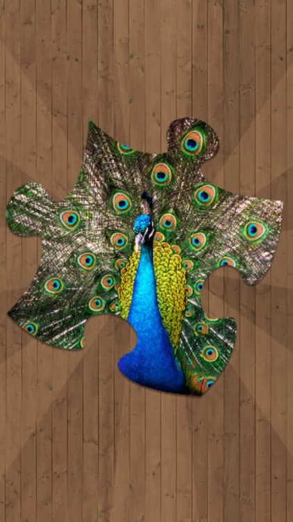 Puzzle Games Jigsaw
