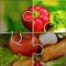 Jigsaw Puzzle for Vegetables offers hours of FUN for kids in fact for whole family