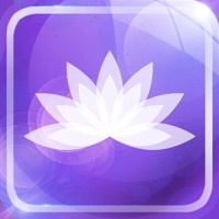 淮阳公共文化 pour PC