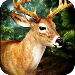 3D Wild Big Deer Ultimate Hunt  Animal Hunting Pro