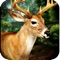 Description: The hunting game includes 6 animal regions (Bear,Boar,Deer,Rabbit,Fox,Hayna),First person Controller on mobile ready ,Hunt different Missions of Beasts and level ups and unlock other ounces