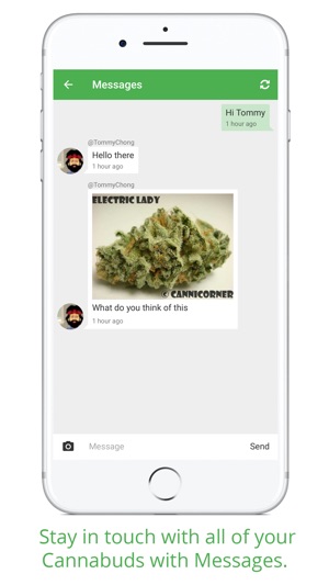 Cannabis.Net(圖5)-速報App