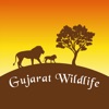 Gujarat Wildlife