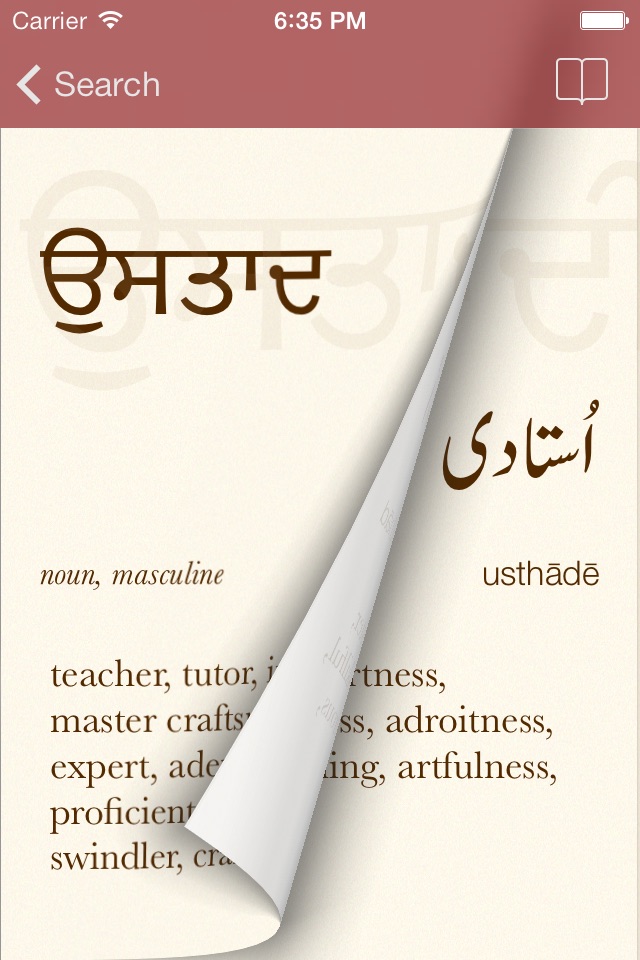 Punjabi Dictionary screenshot 4