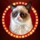 Top 36 Photo & Video Apps Like KittyGram - Cutest Cats Photo Decorator Free - Best Alternatives