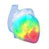 Epicardio Ltd - Epicardio Heart Simulator アートワーク