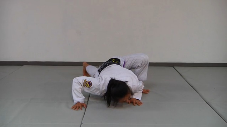 BJJ Gripfighting & Drills