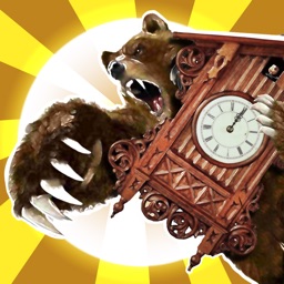 Bear Time