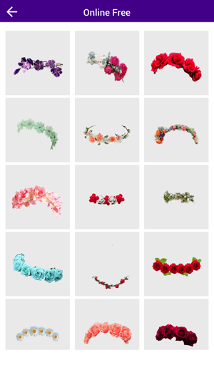 Flower Crown Photo Booth(圖4)-速報App