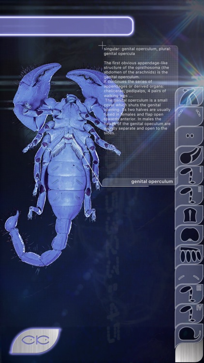 VR scorpions
