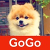 わんこGoGo - 犬好きによる犬好きのための写真・飼い方情報満載ニュースアプリ