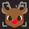 Reindeer Cam Live Christmas Pro - CCTV Rudolf Farm