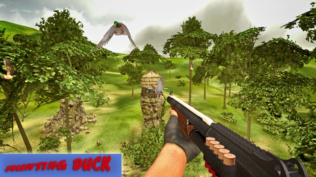 Wild Bird Hunting: Silent Sniper Shooting(圖1)-速報App