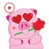 Pig Animated Love