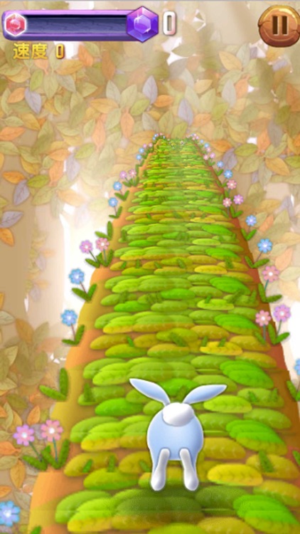 Rabbit Rush 3D - Cool Running Games