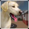 Icon Virtual Pet Shelter Simulator