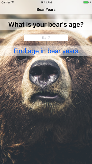 Bear Years - Simple Converter For Finding Bear Age(圖1)-速報App