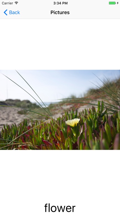 LearnMyWords screenshot-3