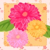 Girlish Flower Concentration (card game)