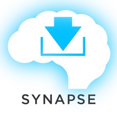 Activities of Latin Synapse