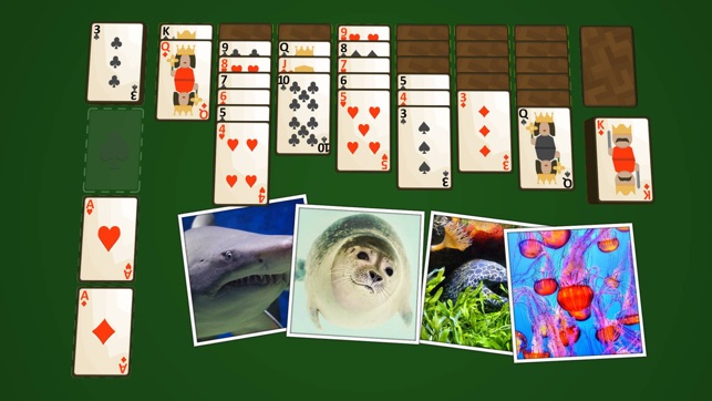 Solitaire Marine Life(圖5)-速報App