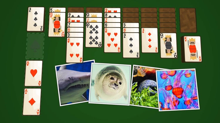 Solitaire Marine Life screenshot-4