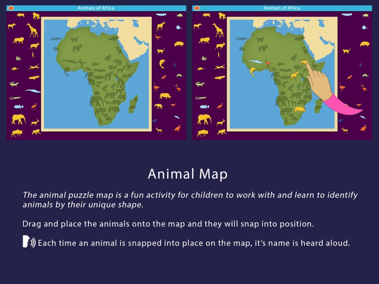 Animals of Africa - Montessori Geography screenshot-4