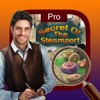 Hidden object: secret of the steam port pro