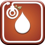 Blood Sugar