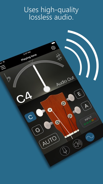 Precision Ukulele Tuner - with Chords & Metronome screenshot-4