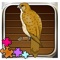 Animals and Bird - Hawk Jigsaw for Kids Puzzles