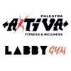 Aktiva LabbyGym