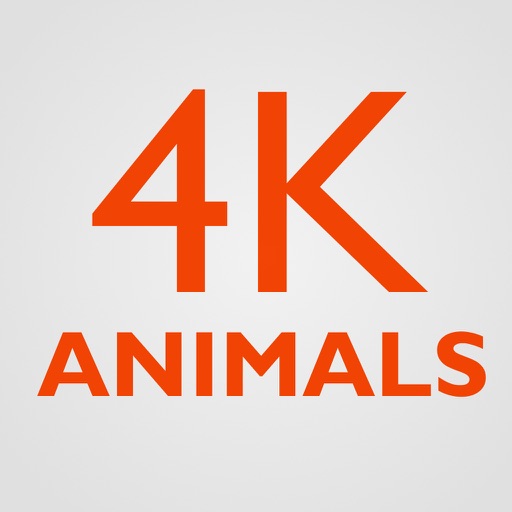 4K Animals icon