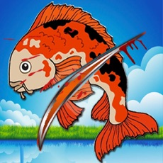 Activities of Ninja Fish