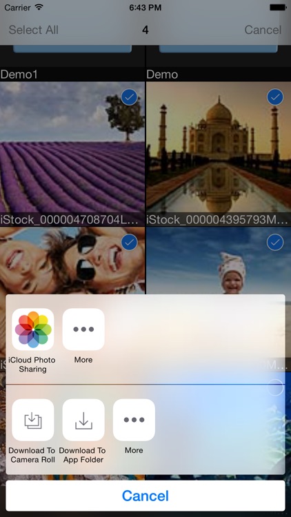 Wi-Fi SD screenshot-3