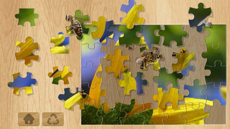 Photo Puzzles - Animal & Landscapes