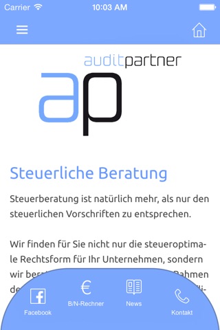 Audit Partner Austria Wirtschaftsprüfer GmbH screenshot 2