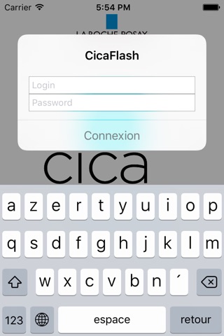 CicaFlash screenshot 2
