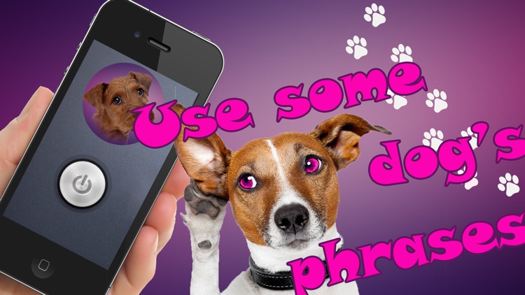 Dog Translator Prank