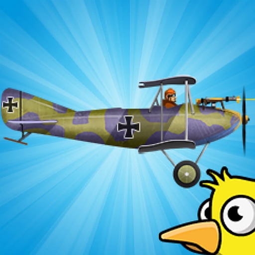 Airplane Fighter - Bird Strikes Icon