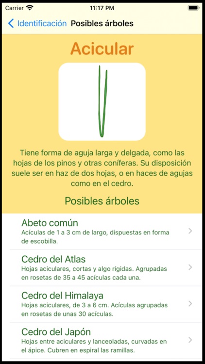 Que Arbol Es screenshot-6